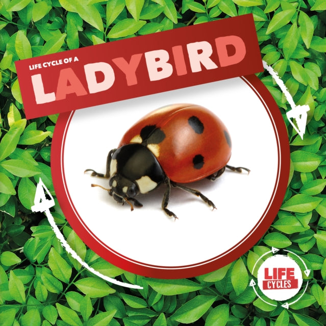 Book cover of: Ladybird. By: Kirsty Holmes