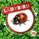 Book cover of: Ladybird. By: Kirsty Holmes