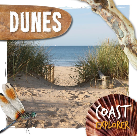 Book cover of: Dunes. By: Robin Twiddy