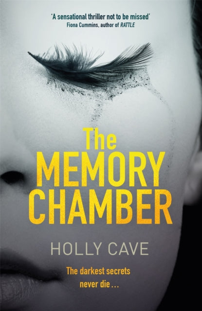 Book cover of: Memory Chamber. By: Holly Cave