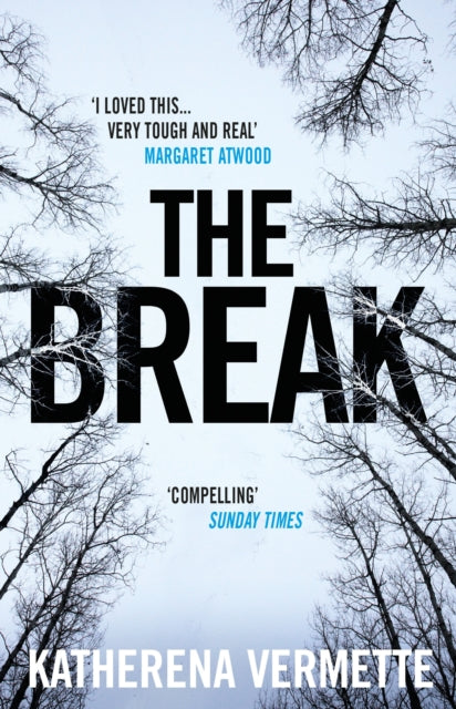 Book cover of: Break