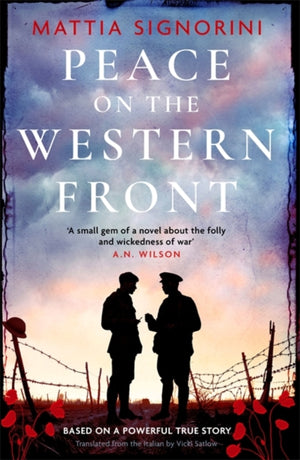 Peace on the Western Front, The emotional World War One historical novel perfect for Remembrance Day