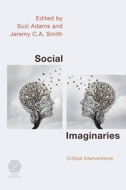 Book cover of: Social Imaginaries. By: Suzi Adams