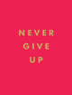 Never Give Up