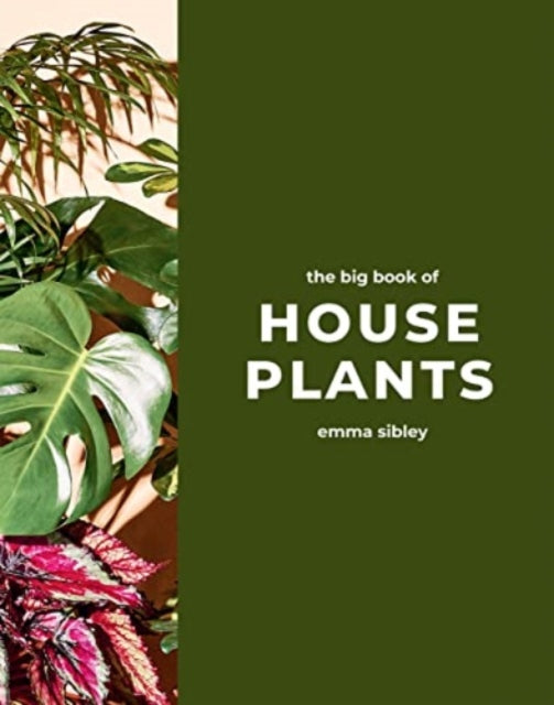 Book cover of: Big Book of House Plants. By: Emma Sibley
