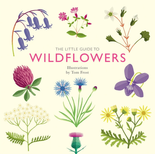 Book cover of: Little Guide to Wildflowers. By: Alison Davies