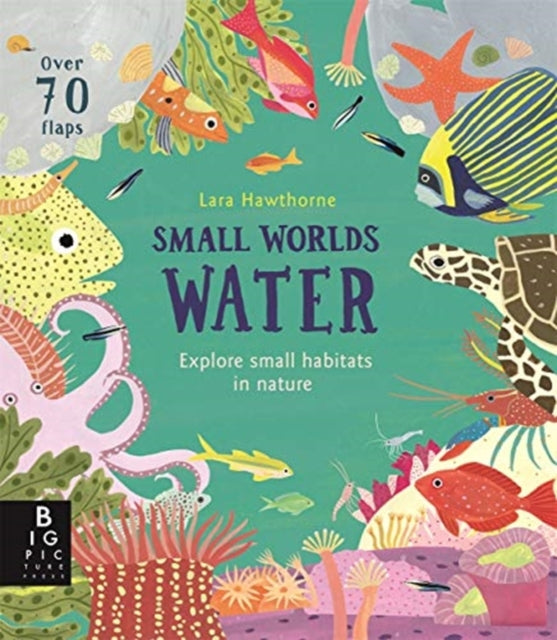Book cover of: Small Worlds: Water. By: Lily Murray