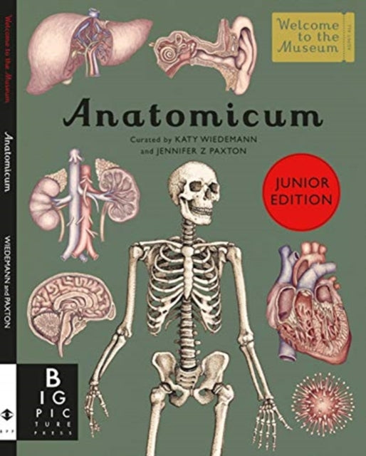 Anatomicum Junior 9781787416543 Jennifer Z Paxton