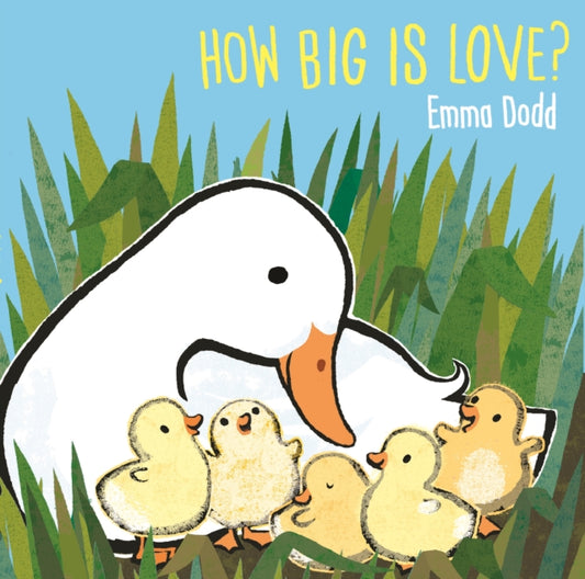 Book cover of: How Big Is Love?