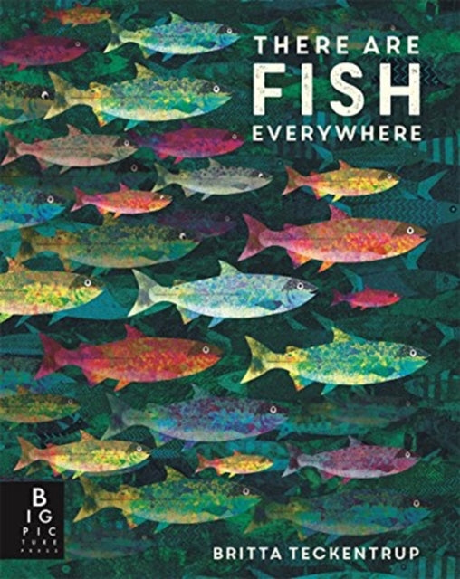 Book cover of: There are Fish Everywhere. By: Katie Haworth