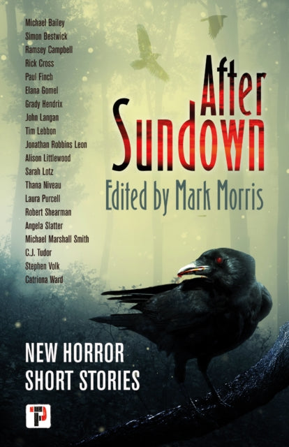 Book cover of: After Sundown. By: Mark Morris