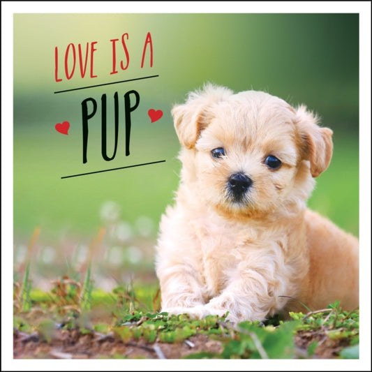Book cover of: Love is a Pup. By: Charlie Ellis