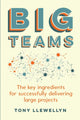 Book cover of: Big Teams. By: Tony Llewellyn