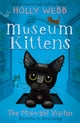 Book cover of: The Midnight Visitor