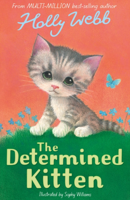 The Determined Kitten 9781788956505 Holly Webb