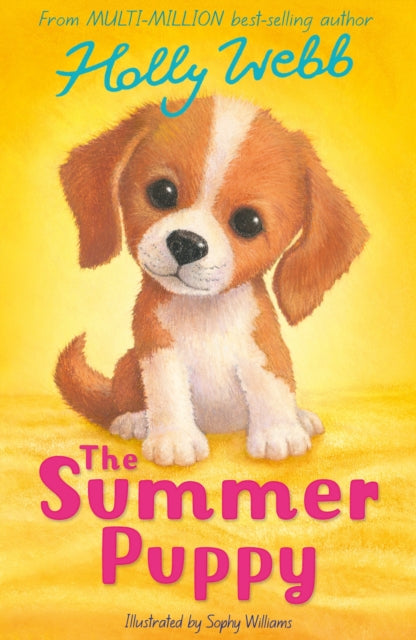Book cover of: Summer Puppy