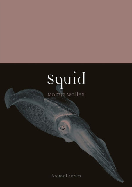 Book cover of: Squid. By: Martin Wallen