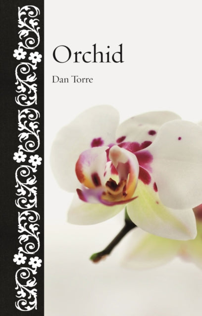 Book cover of: Orchid. By: Dan Torre