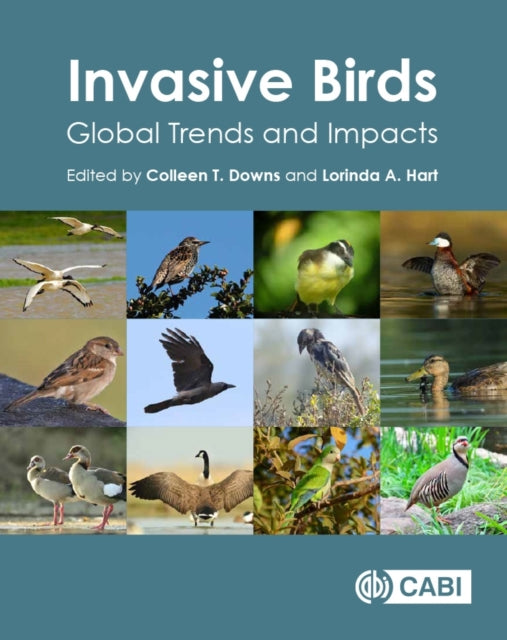 Book cover of: Invasive Birds. By: Colleen T. Downs