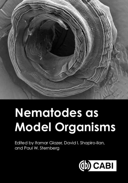 Book cover of: Nematodes as Model Organisms. By: Itamar Glazer