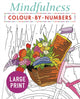 Book cover of: Mindfulness Colour-by-Numbers Large Print