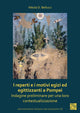 Book cover of: I reperti e i motivi egizi ed egittizzanti a Pompei. By: Nikola D. Bellucci