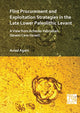 Book cover of: Flint Procurement and Exploitation Strategies in the Late Lower Paleolithic Levant. By: Aviad Agam