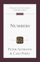 Book cover of: Numbers