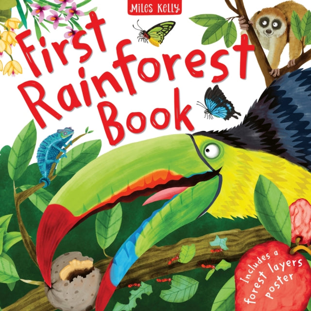 Book cover of: First Rainforest Book
