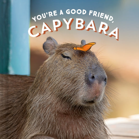 Book cover of: You're a Good Friend, Capybara