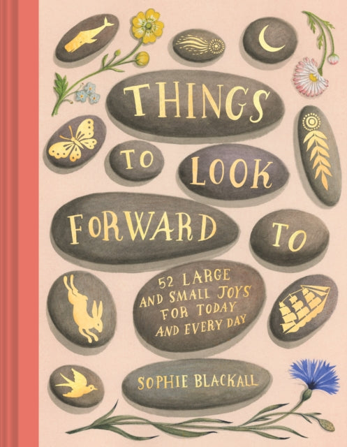 Things to Look Forward To 9781797214481 Sophie Blackall