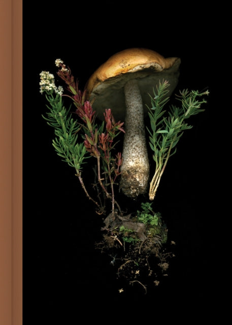 Book cover of: Deep Dark Forest Mushroom Journal. By: Julya Hajnoczky