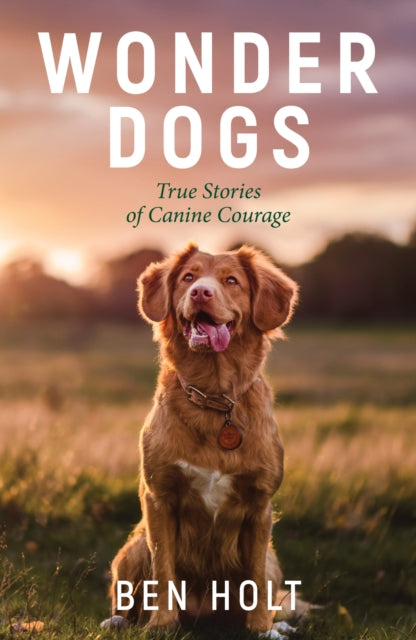 Book cover of: Wonder Dogs. By: Ben Holt