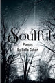 Book cover of: Soulful