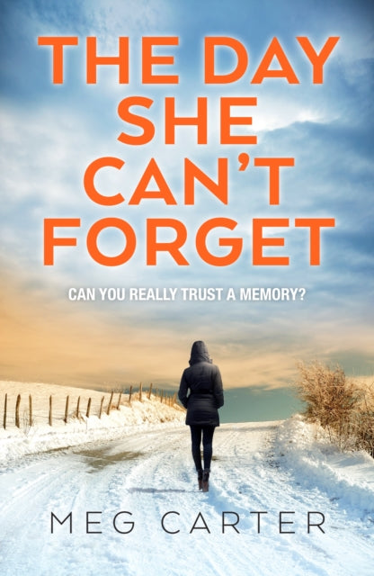 Book cover of: Day She Can’t Forget. By: Meg Carter