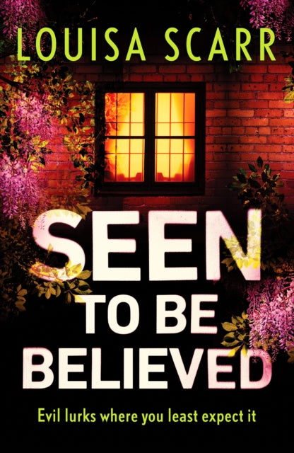 Book cover of: Seen to Be Believed. By: Louisa Scarr