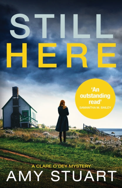 Book cover of: Still Here. By: Amy Stuart