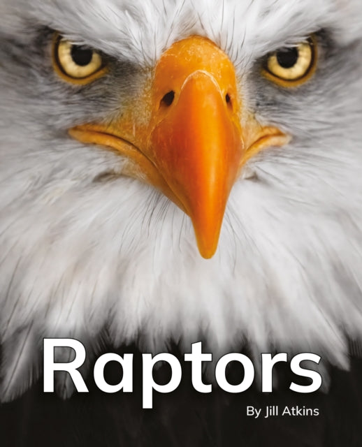 Book cover of: Raptors
