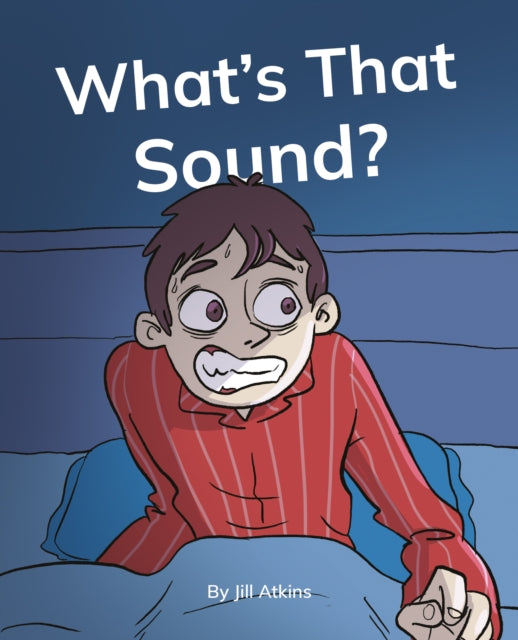 Book cover of: What's That Sound?