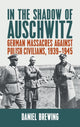 Book cover of: In the Shadow of Auschwitz. By: Daniel Brewing