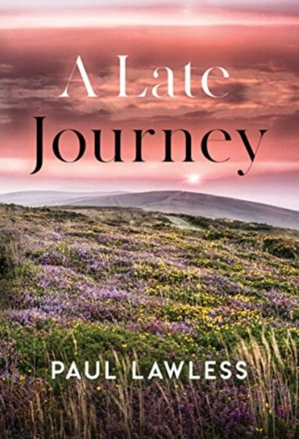 A Late Journey
