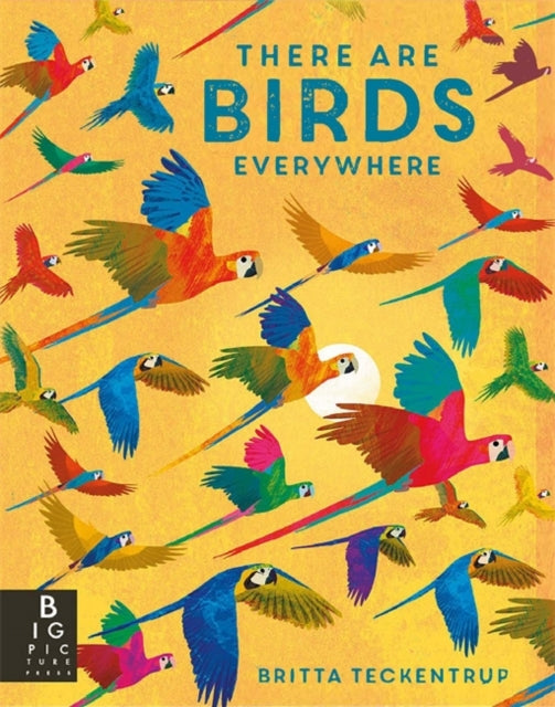 Book cover of: There are Birds Everywhere. By: Camilla De la Bédoyère