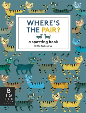 Where's the Pair?, A Spotting Book