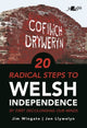 Book cover of: 20 Radical Steps to Welsh Independence. By: Jim Wingate