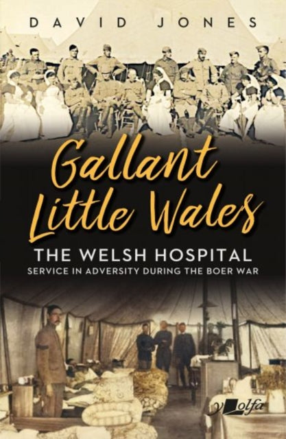 Book cover of: Gallant Little Wales. By: David Jones