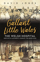 Book cover of: Gallant Little Wales. By: David Jones