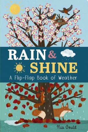Rain & Shine: A Flip-Flap Book of Weather, A Flip-Flap Book of Weather