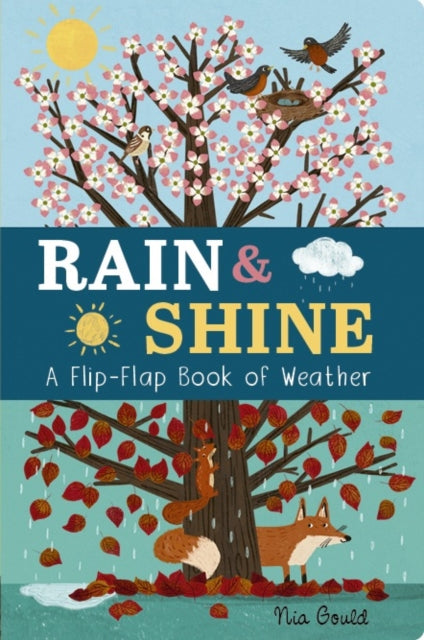 Rain & Shine: A Flip-Flap Book of Weather, A Flip-Flap Book of Weather 9781801044578 Molly Littleboy
