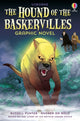 Book cover of: Hound of the Baskervilles. By: Russell Punter