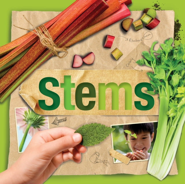 Book cover of: Stems. By: Steffi Cavell-Clarke; Danielle Webster-J